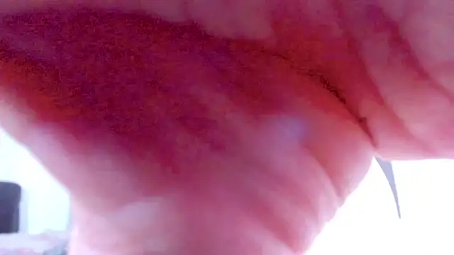 violetadumsper online show from 16, 12, 2025