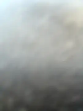 Mia-Fuchs online show from 7, 1, 2026