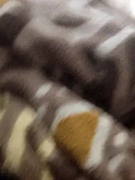 MAGNETICDADDY8 online show from 15, 1, 2026