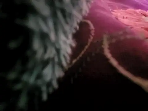 manterei2 online show from 17, 3, 2025