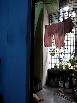 124pakhi online show from 17, 3, 2026