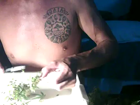 GoloZeusMax online show from 14, 3, 2025