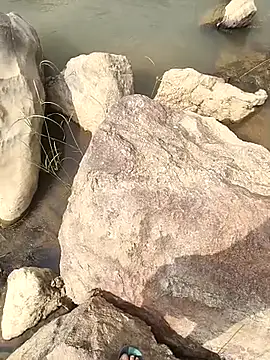 aryan 8051 online show from 28, 10, 2025