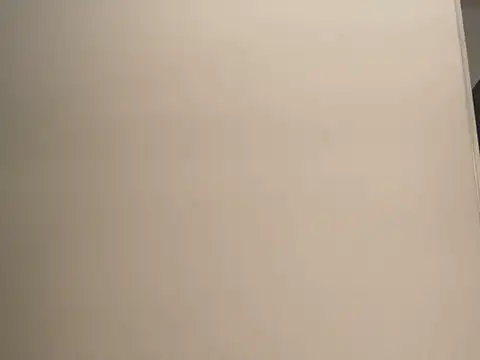 JoaoLenhador online show from 5, 3, 2025