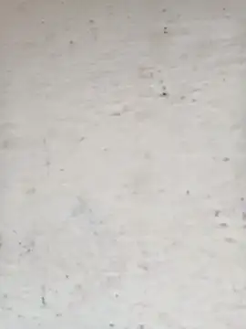 Snapshot of Pooja_cut chatting on 15, 10, 2025 Pooja cut online show from 15, 10, 2025