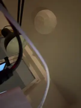 shiny bunnyyy online show from 21, 1, 2025