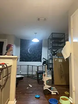 trashbrat online show from 4, 3, 2026