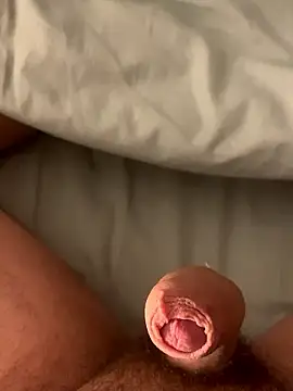 bigcock430 online show from 6, 1, 2026