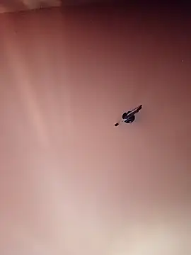 BR master online show from 19, 9, 2025