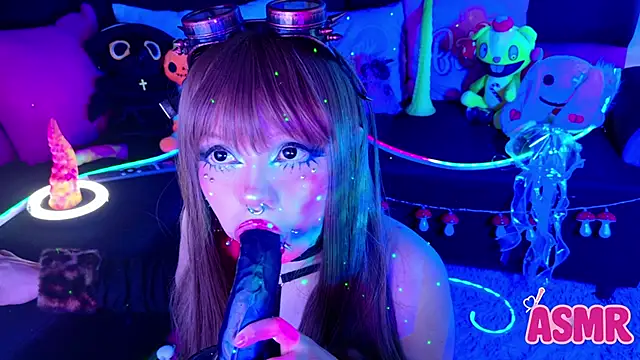 LaytonBox online show from 2, 11, 2025