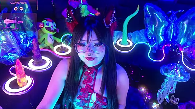 LaytonBox online show from 13, 3, 2026