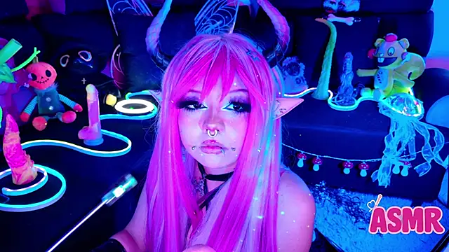 LaytonBox online show from 8, 11, 2025