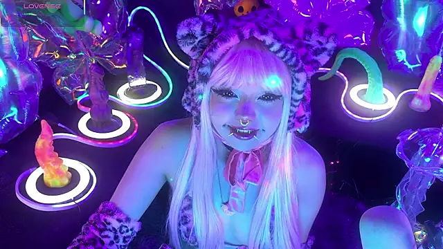 LaytonBox online show from 24, 3, 2026