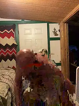 32XRedBeard online show from 19, 4, 2026