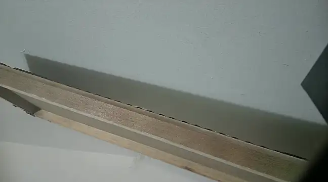 filthymind619 online show from 31, 1, 2025