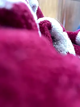 BCFZD online show from 25, 11, 2025