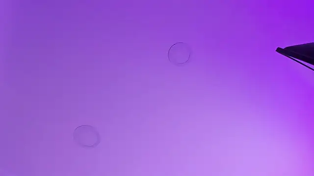 kathy bakerr online show from 18, 3, 2026