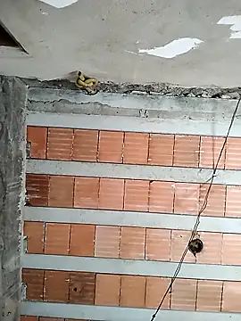 safado0027 online show from 15, 2, 2026