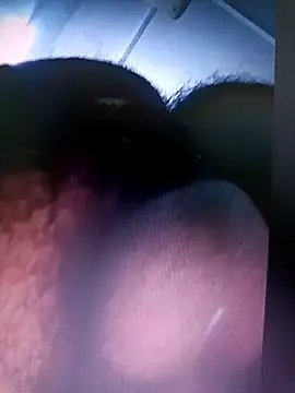 Rajasthani-boy online show from 25, 2, 2026