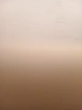 mario0212 online show from 6, 3, 2026