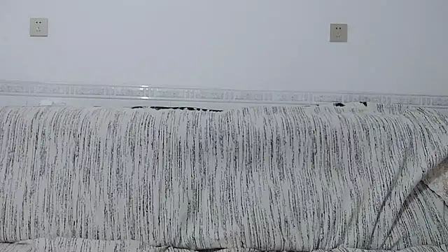                     88 online show from 1, 12, 2025