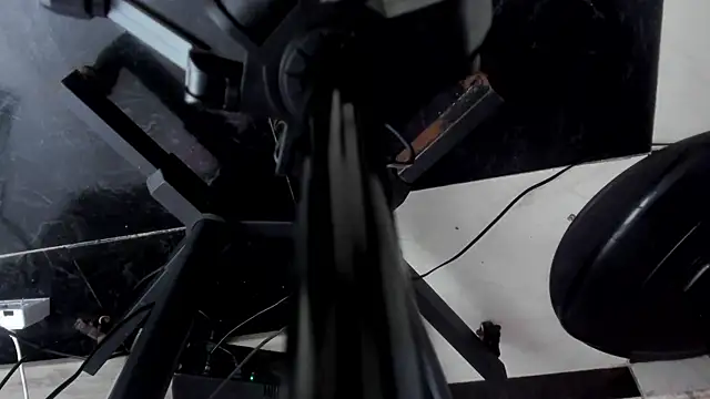 TaniaBellini online show from 31, 1, 2025