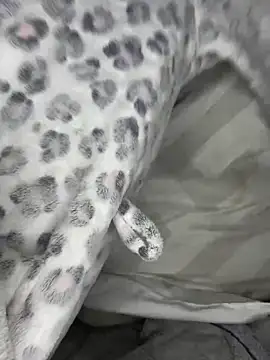 VioletxBlue online show from 28, 3, 2026