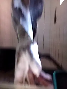 Dube501 online show from 12, 10, 2025