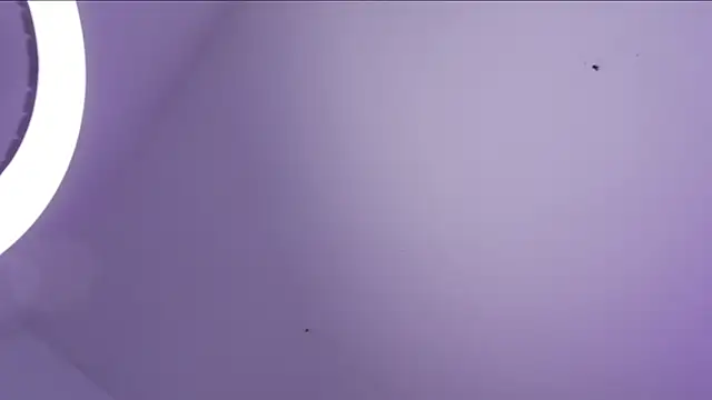 CleeoAdams  online show from 27, 3, 2026