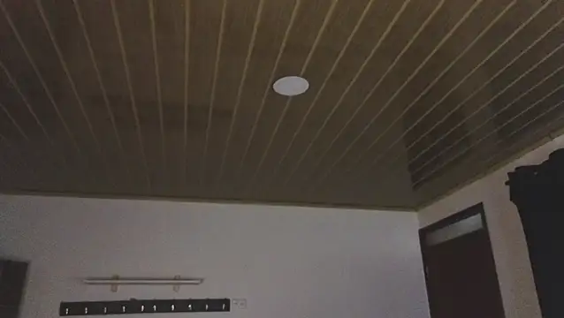 Renaxi Smith online show from 21, 3, 2026