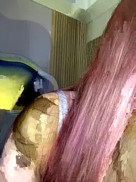 Sara  collins   online show from 28, 10, 2025