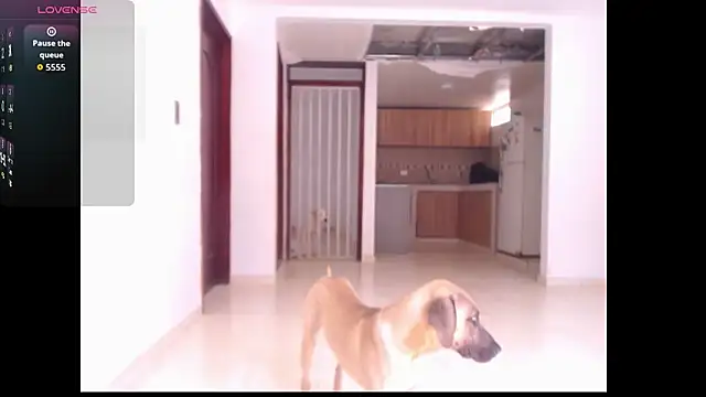 Snapshot of leslycarsson chatting on 7, 10, 2025 leslycarsson online show from 7, 10, 2025