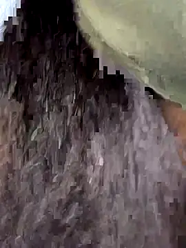 Lilymoonshow online show from 30, 11, 2025