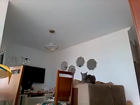 Munnoki online show from 1, 3, 2026