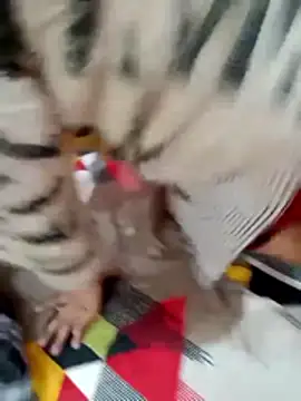 rameshjisex online show from 2, 12, 2025