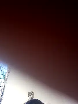 Donnasexy5 online show from 7, 3, 2025