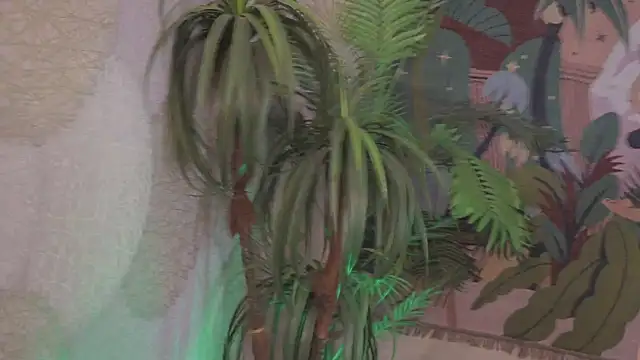 Bella Alita online show from 9, 10, 2025