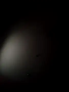 aAsdGf online show from 7, 2, 2026