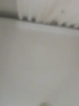 jacaranduba07 online show from 27, 2, 2025