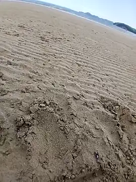 jacaranduba07 online show from 7, 2, 2026