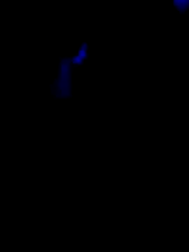 jacaranduba07 online show from 6, 2, 2026