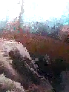 Snapshot of LaneYam chatting on 8, 7, 2026 LaneYam online show from 8, 7, 2026