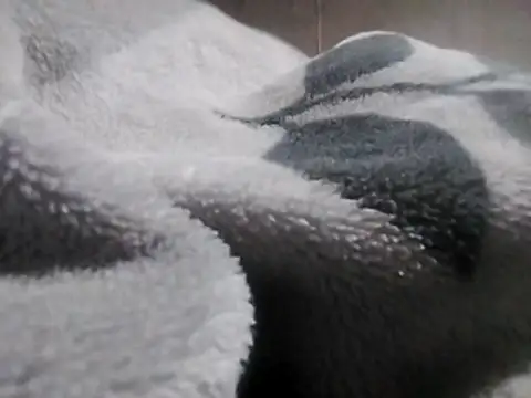 LaneYam online show from 12, 3, 2026