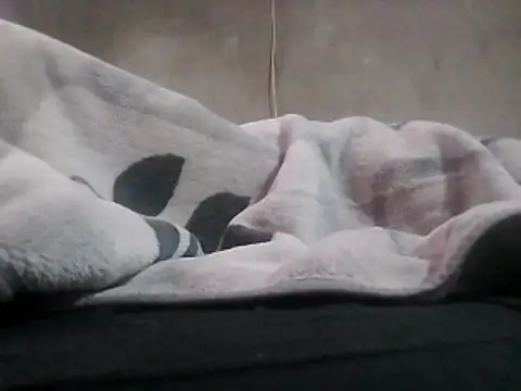 LaneYam online show from 2, 4, 2026