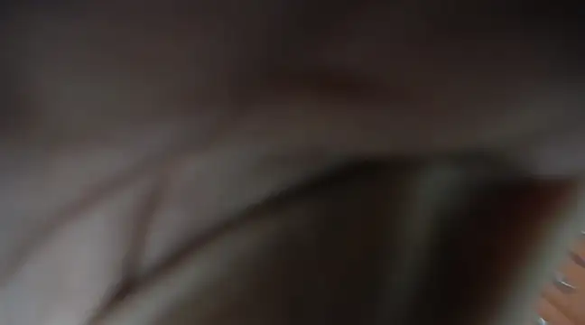 Snapshot of jazmin_mature_ chatting on 21, 3, 2025 jazmin mature online show from 21, 3, 2025
