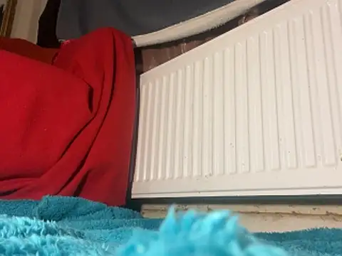 iccmananal online show from 23, 12, 2025