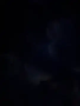 Miia Jazmin online show from 13, 1, 2026