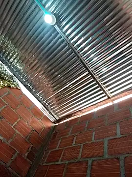 Zoe Sweett18 online show from 9, 2, 2026