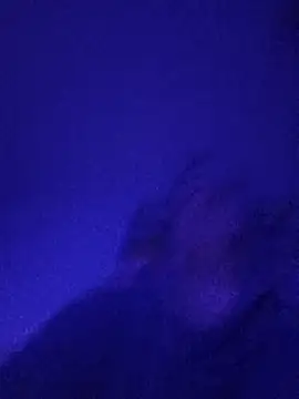 Paolo7619 online show from 3, 11, 2025