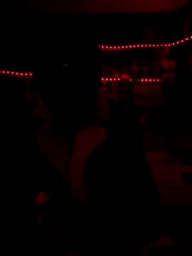 Blade Ryder666 online show from 17, 12, 2025